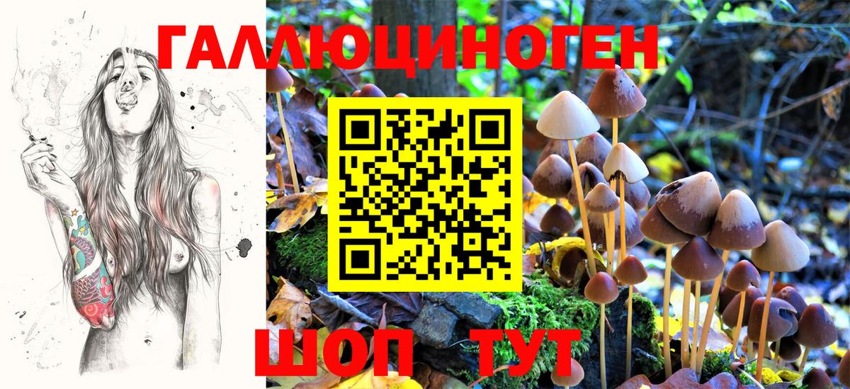 Пермь  Псилоцибиновые грибы Cubensis  Вход с VPN 