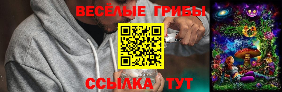 Галлюциногенные грибы ЛСД Пермь
